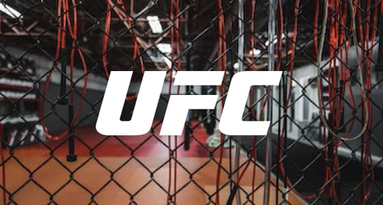 Picture of UFC
